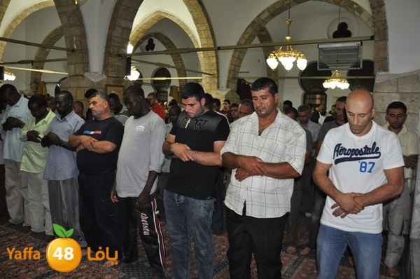 trawe7 7san bek 715 (36).JPG